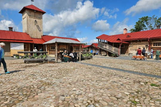 Гатчинский район